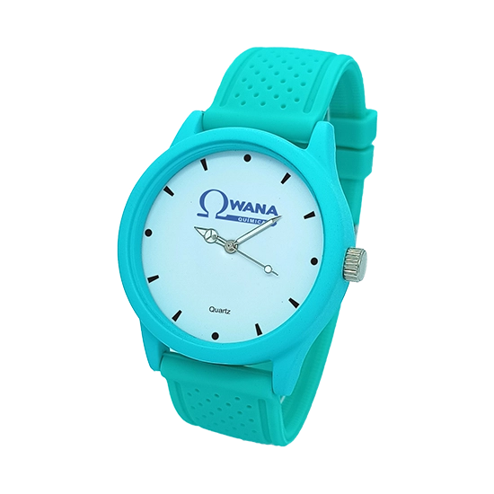RELÓGIO DE PULSO PERSONALIZADO LINHA COLOR